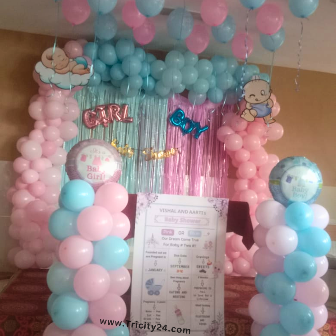 Pastel Pink and Blue Theme Baby Shower Decor in Delhi NCR