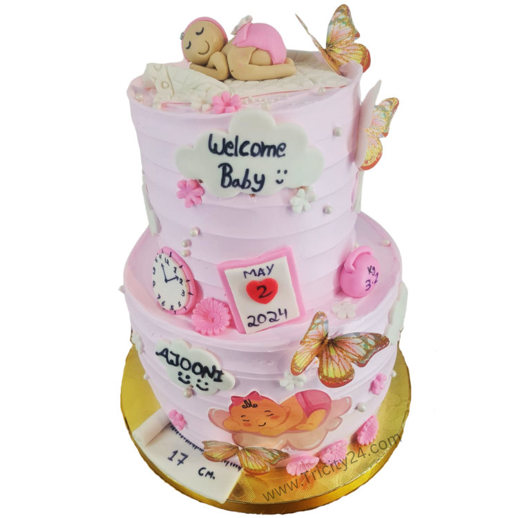 (M1052) Welcome Baby Theme Cake(2Kg)