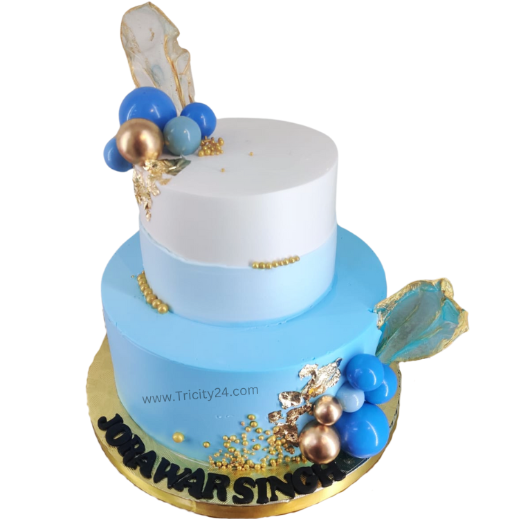 (M1055) Deginer Theme Cake(2Kg)