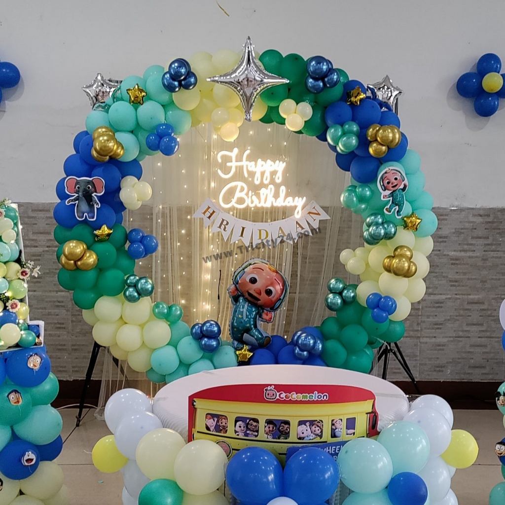 Cartoon Theme Birthday Party Decoration – Tricity 24, 43% OFF